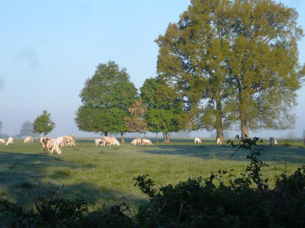 Bed and Breakfast La Thibaude - Livry Livry  Zewnętrze zdjęcie